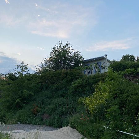 Weinbergshaus Mit Blick Auf'S Wasser Salzatal エクステリア 写真
