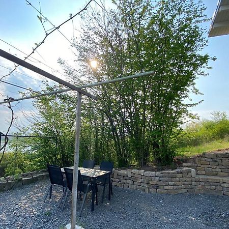 Weinbergshaus Mit Blick Auf'S Wasser Salzatal エクステリア 写真