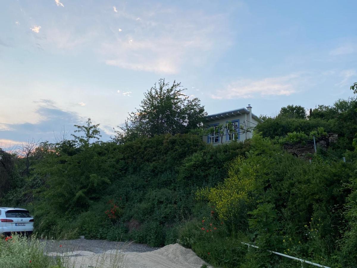 Weinbergshaus Mit Blick Auf'S Wasser Salzatal エクステリア 写真