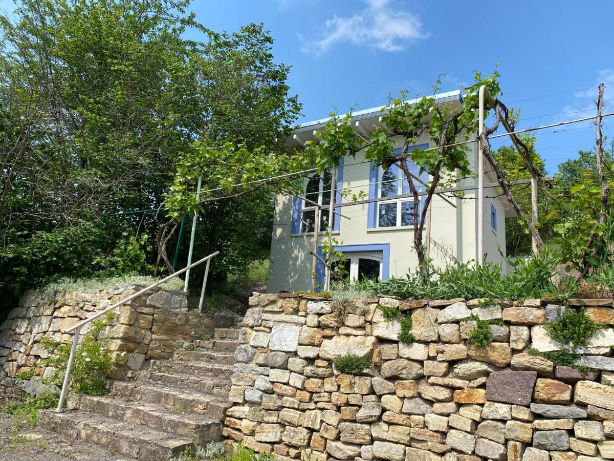 Weinbergshaus Mit Blick Auf'S Wasser Salzatal エクステリア 写真
